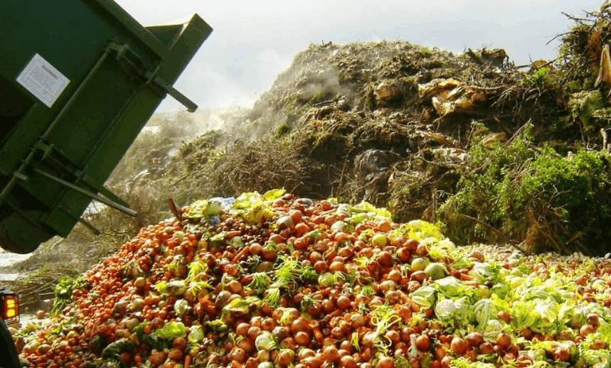 如何進行無害化果蔬垃圾處理？